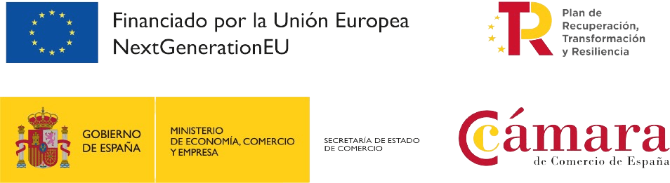 Union Europea Logo